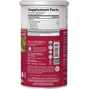 Organic India Psyllium Herbal Powder - Whole Husk Fiber - 12 Oz Canister (Pack of 2)