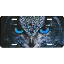 Animal Blue Eyes Owl License Plate, Decorative Car Front License Plate, Aluminum Novelty License Plates Vanity Tag Metal Car Plate for Women Men 6 X 12 Inch