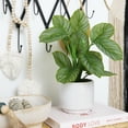 thumbnail image 3 of Nearly Natural 12in. Artificial Calathea Plant with Decorative Planter, Green, 3 of 7