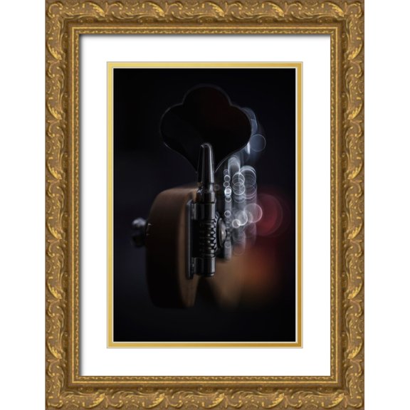 Daalder, Bob 17x24 Gold Ornate Wood Framed with Double Matting Museum Art Print Titled - Exciting Interplay Of Light On A Bass Guitar