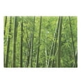 thumbnail image 1 of Bamboo Print Cutting Board, Exotic Tropical Forest Fresh Color Nature Wild Trees and Leaves, Decorative Tempered Glass Cutting and Serving Board, Large Size, Green, by Ambesonne, 1 of 1