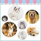 thumbnail image 5 of Cepillo para pelo de mascotas que elimina el subpelo suelto, los enredos y el pelo enredado, cepillo de belleza para masaje de mascotas, peine autolimpiante, 5 of 5