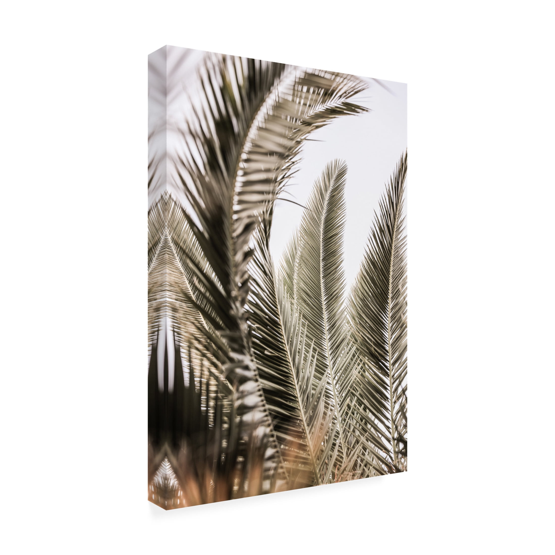 Trademark Fine Art Shot by Clint Palm Love Canvas Wall Art