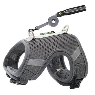 Good2go auto harness discount