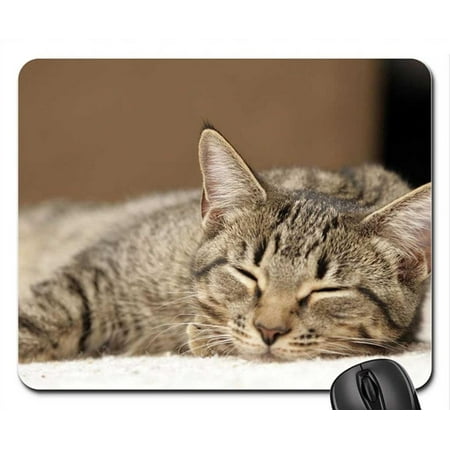 POPCreation The cat sleeps Mouse pads Gaming Mouse Pad 9.84x7.87