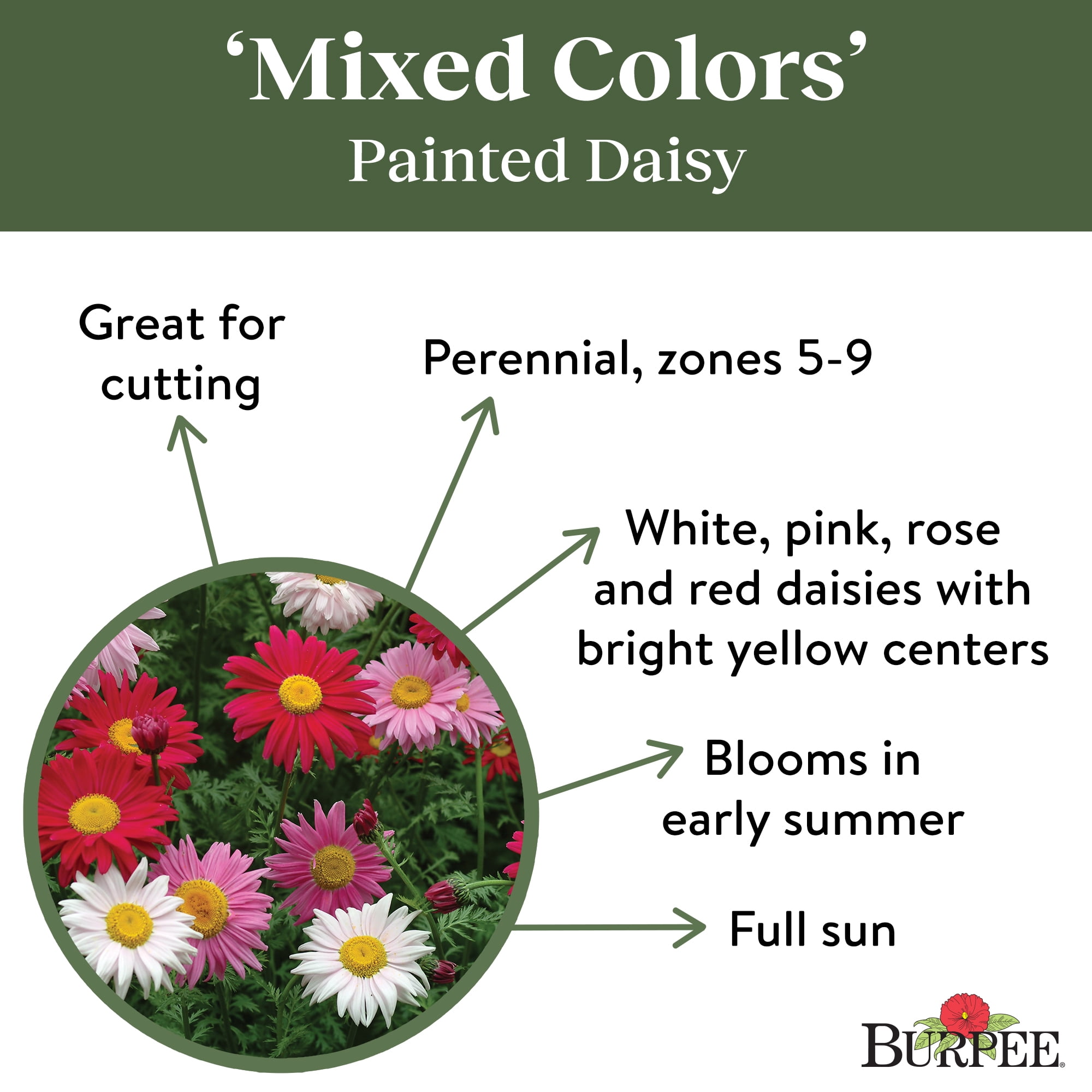 *Daisy*様 明日花キララ着用[XS～LLサイズ]クロスデザインエアリーフラワー