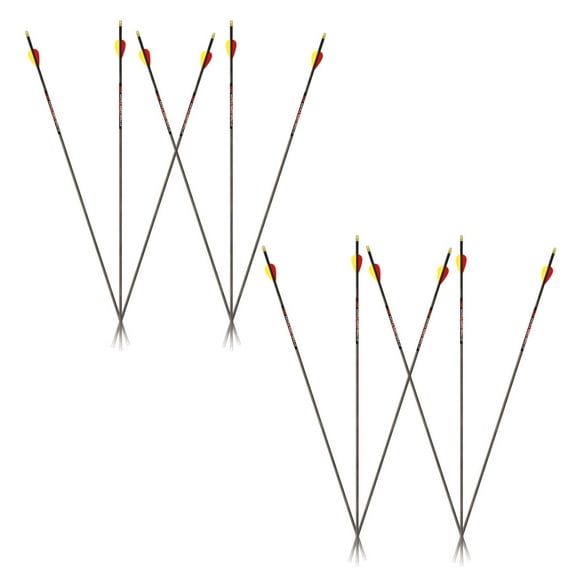 Carbon Express Predator SD 400, 12-Pack