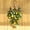 Green, variant on XEAZON Artificial Lemon Wreath, Fake Lemon Swag, Wall Hanging Greenery Wreath, Decorative Swag with Lemons Bows Green Leaves Suitable for Wall Patio Indoor Outdoor Window Decoration