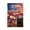 B, variant on Decorative Garden Flag 250 Years of Blessings Squirrel with Hat and Flowers United States Flag Print Outdoor Banner for Home Yard