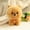 Slion, variant on Fashion Puppy Doll Plush Toy