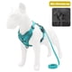 thumbnail image 1 of Methold Conjunto de arnés para mascotas Universal, Simple, transpirable, reflectante, para caminar al aire libre, chaleco para perros, Suministros para perros Azul lago/M, 1 of 6
