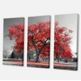thumbnail image 2 of Designart 'Big Red Tree on Foggy Day ' Landscape Canvas Art Print, 2 of 3