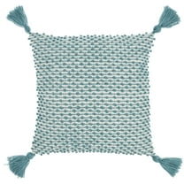 Nourison Loop Stripe Tassle Turquoise 18" x 18" Indoor/Outdoor Throw Pillow