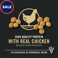 thumbnail image 2 of Purina Pro Plan Chicken and Rice Formula Large Breed Dry Puppy Food 47 lbs., 2 of 2