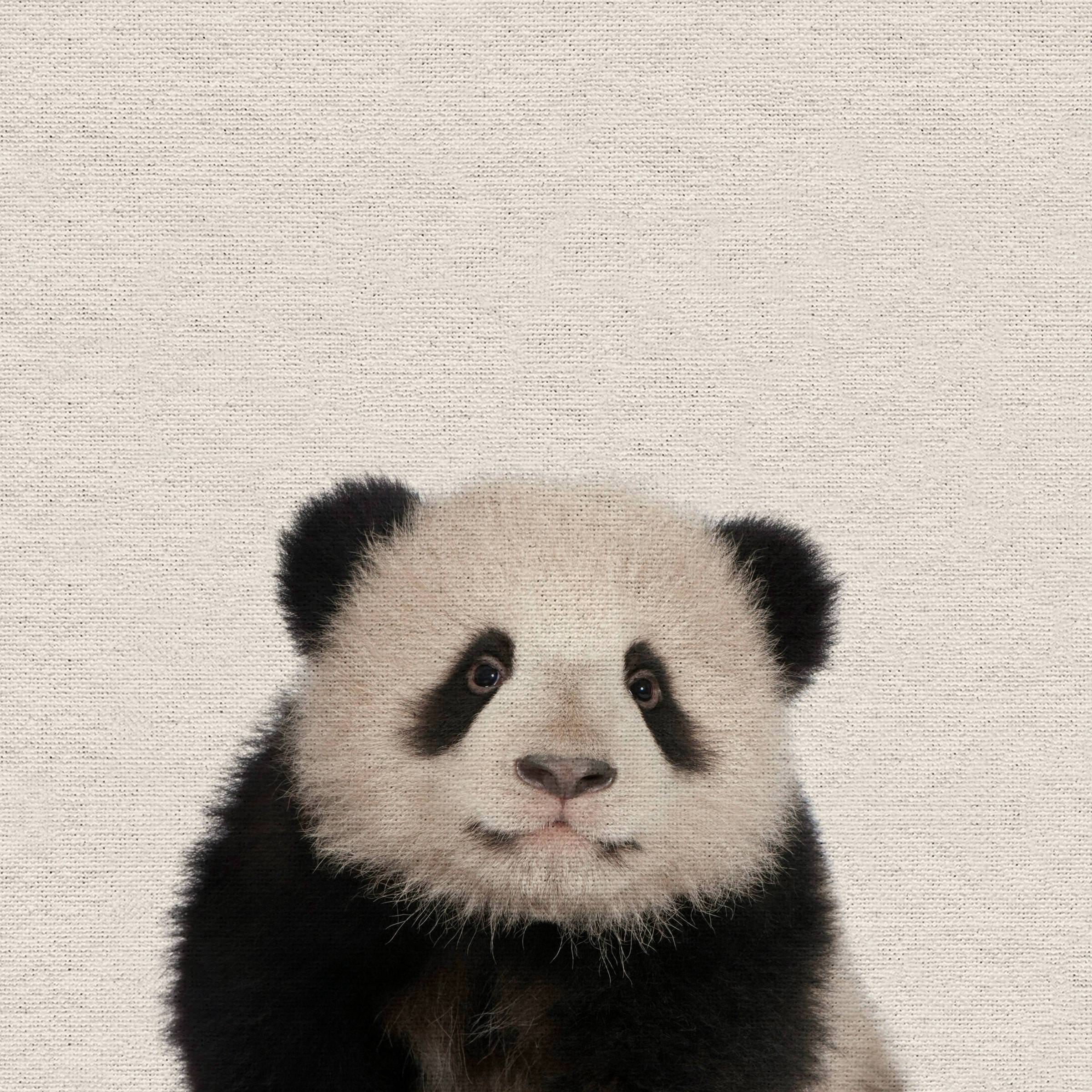 Huggable Panda Painting Print on Wrapped Canvas
