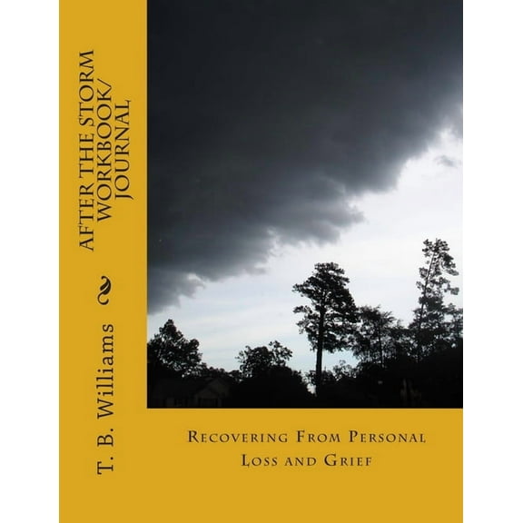 After The Storm : Recovering From Personal Loss and Grief (Paperback)