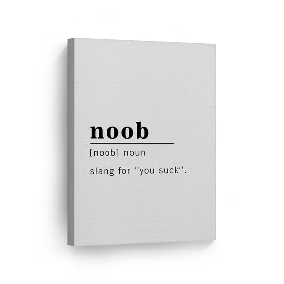 Smile Art Design Funny Noun Dictionary Definition of Noob Canvas Print Inspirational Quote Sign Office Living Room Bedroom Bathroom Wall Decor Wall Art Home Decor Made in USA 40x30