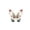 A002- Style B, variant on Butterfly Hanging Decor, 2D Flat Design with Hyperlinked Image, for Home Wall Decoration, Party Ornament, Living Room Accent - Colorful Artistic Butterfly Pendant, No Size Specification, 1PC