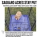 thumbnail image 2 of Juego de 6 alfombrillas de descanso con forma de jaula para conejos, resistentes a la masticación, 38 x 25 cm, 2 of 6