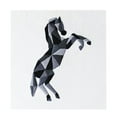 thumbnail image 3 of Completo de Inicio de , para Principiantes de Estampada, Color, de Herr Caballo BLESIY Bordado a mano, 3 of 8