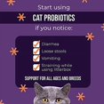 Jackson Galaxy Cat Probiotics with Enzymes