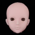 thumbnail image 2 of Cabeza de práctica de muñeca BJD Soft Cabeza de Femenina Hecha de Plástico Blando con Marrones de 1/6 de BJD Accesorios de Las Piezas de Magideal Cabeza de práctica de muñeca BJD, 2 of 7