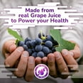 thumbnail image 2 of True Sea Moss Sea Moss Gummies with Elderberry, 120 Count (2 Pack), 2 of 6