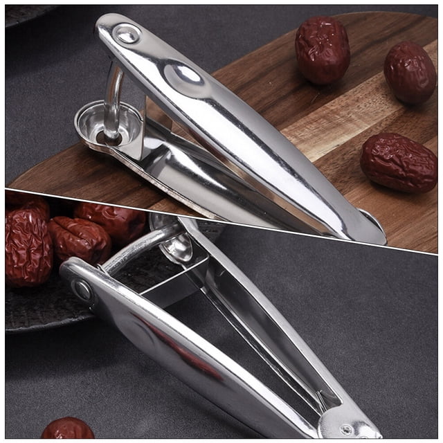 TEHAUX Extracteur de Noyau de Fruits en Acier, Simple et Pratique, 1 Pce