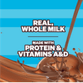 thumbnail image 4 of Feastables Protein Fortified Chocolate Milk, Shelf-Stable, 14 fl oz, Single Bottle, 4 of 8