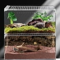 thumbnail image 4 of Arboreal Tarantula Enclosure Reptile Habitat Terrarium Breeding Box Case, 4 of 10