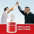 thumbnail image 5 of Ortho Prostate- Ciculation/Urinary Tract Health- 60 Capsules- Dr. Pelican, 5 of 5
