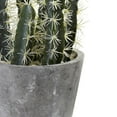 thumbnail image 7 of Nearly Natural 27.5" Decorative Cactus Garden Artificial Plant with Cement Planter, Green, 7 of 7