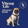 thumbnail image 2 of Vibrant Life Nylon Adjustable Step-In Dog Harness, Black, S, 2 of 10