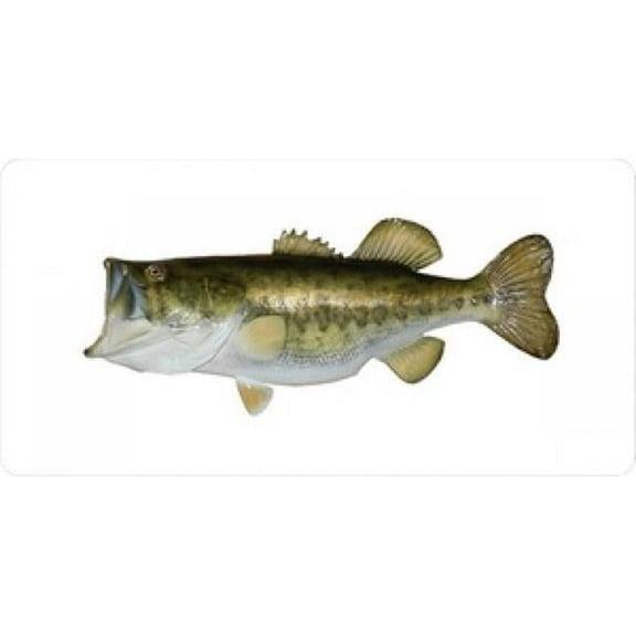 212 Main LPO621 Large Mouth Bass Mounted on White License Plate