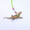 thumbnail image 3 of Lizard Traction Rope, Adjustable Reptile Leash Comfortable and Durable Nylon Material Reptile Harness Leash for Small Animal Outdoor Walks and Training, 3 of 8