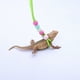 thumbnail image 3 of Correa De Lagarto, Correa De Hámster Ajustable Resistente A La Abrasión Cómoda Multifuncional Para Exteriores Para Animales Pequeños, 3 of 7