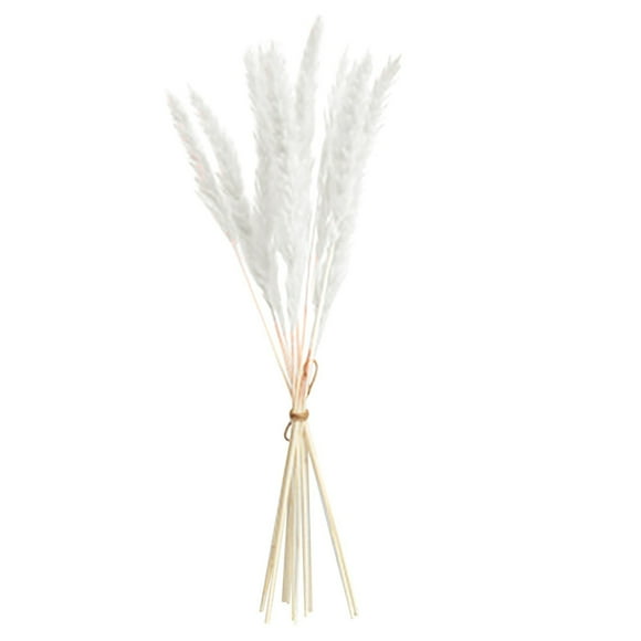 Meitianfacai 15 Pcs Natural Dried Grass Home Decor Bouquet Dried Reed Flowers for Wedding Floral Arrangements Wall Bathroom Decor