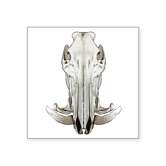 CafePress - Hog Skull Square Sticker 3 X 3 - Square Sticker 3" x 3"