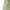 Green, variant on Vedolay Linen Pants Women Drawstring Elastic Waist Casual Trousers Solid Straight Leg Ankle Length Cropped Pants with Pockets (Gray,L)