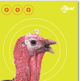 thumbnail image 4 of Ez Aim Splash Reactive Paper Shooting Targets, Turkey Target, 12"W X 18"H, 8-Pack, Black/Chartreuse, 4 of 6