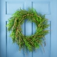 thumbnail image 1 of Northlight Mixed Boxwood Fern Artificial Wreath - 24", 1 of 6