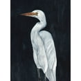 thumbnail image 2 of Warren, Annie 12x14 White Modern Wood Framed Museum Art Print Titled - Calm Great Egret I, 2 of 4