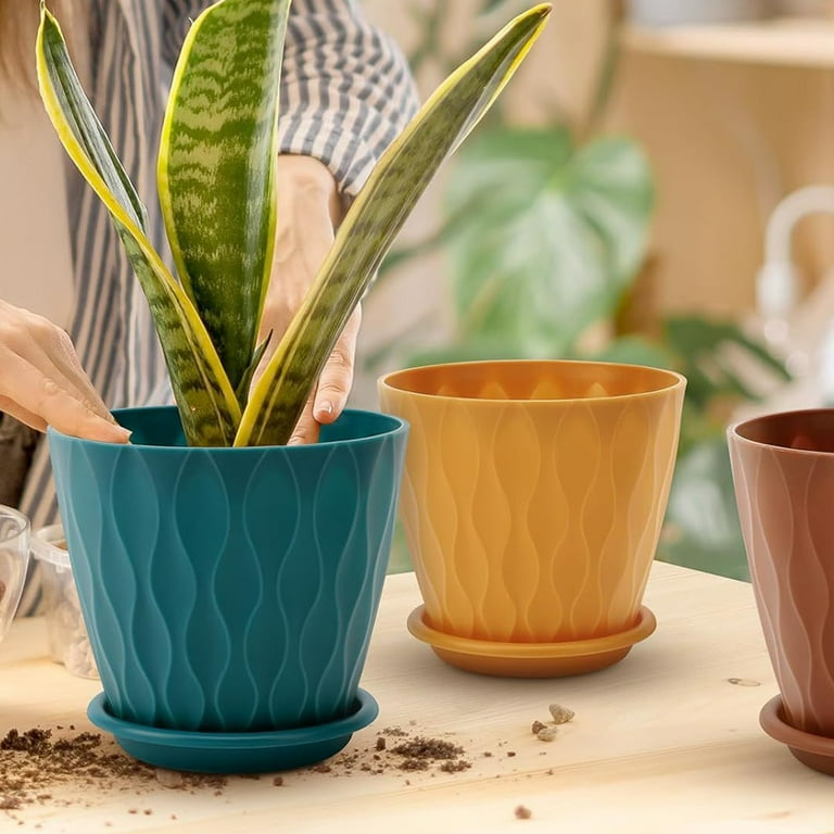 best potting mix for monstera GARDENERA Monstera Swiss Cheese Plant Potting Mix - Monstera Deliciosa Blend for Optimal Nutrients, Aeration, and Drainage main image 0