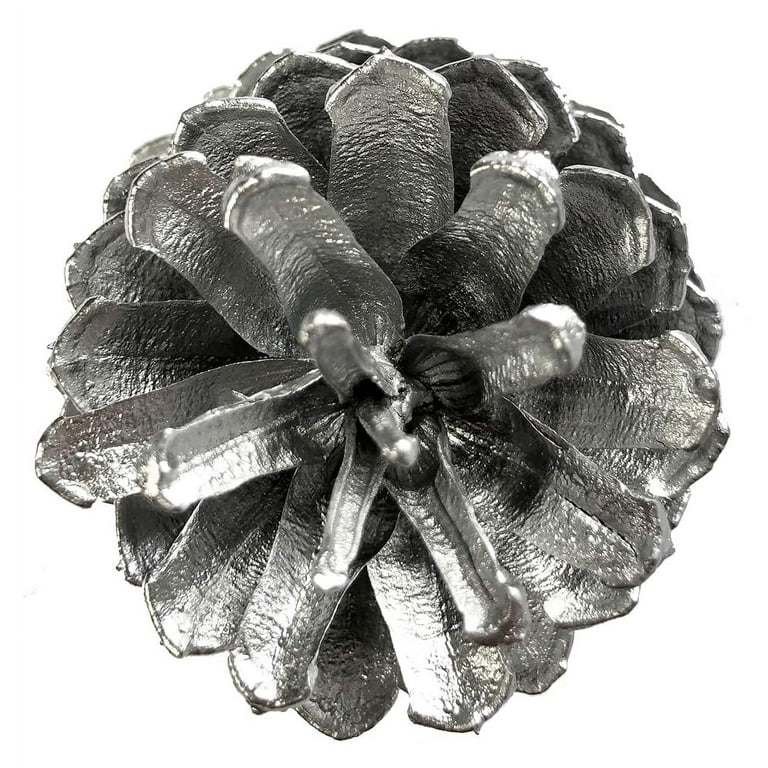 Silver Pine Cones - (10) 2.5 to 4” Tall Bulk Package Premium, Silver,  Frosted Pine cones, and Perfect for Holiday Crafting and Christmas Accent