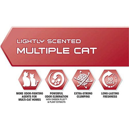 Ever Clean Litière Agglomérante pour Chats - 25 lb