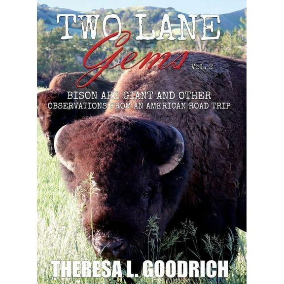 Two Lane Gems Two Lane Gems, Vol. 2: Bison are Giant and Other Observations from an American Road Trip, Book 2, (Hardcover)