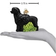 thumbnail image 5 of Old World Christmas Blown Glass Ornament for Christmas Tree, Portuguese Water Dog, 5 of 6