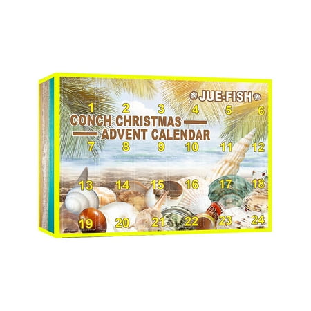24 Piece Christmas Conch Blind Box Advent Calendar Conch Blind Box 24 Piece Christmas Conch Blind Box Advent Calendar Conch Blind Box