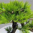 thumbnail image 3 of Falsas plantas artificiales del estilo chino del árbol de los bonsais interiores con el pote de cerámica, decoración realista de las plantas falsas, 3 of 6