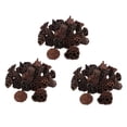thumbnail image 1 of GUOOL 90 Pack Natural Dried Lotus with Seed and Real Rod Dried Floral Crafts (Dia, 1 of 8